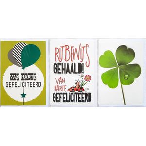 3 Wenskaarten - Rijbewijs Gehaald + Van Harte Gefeliciteerd + Blanco Kaart met Klavertje 4 - 12 x 17 cm – RIJB-302
