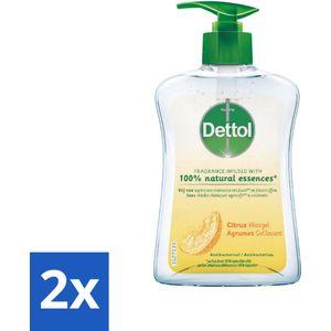 2 x Dettol - Handzeep - Antibacterieel - 100% Natuurlijke Oliën - Citrus - 250 ml - Antibacteriële Zeep - Handzeep - Citrusgeur - Natuurlijke Oliën - Huidverzorging