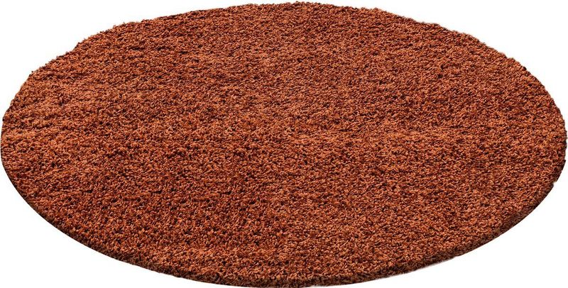 Rond Hoogpolig Vloerkleed | Tapijt | Shaggy | Life | Terra | 80x80 cm