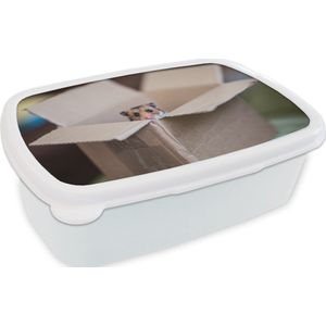 Broodtrommel Wit - Lunchbox - Brooddoos - Hamster komt tevoorschijn uit een kartonnen doos - 18x12x6 cm - Volwassenen