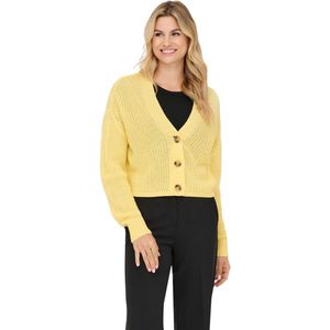 Only Dames ONLCAROLSPRING regular fit Geel XS Volwassenen