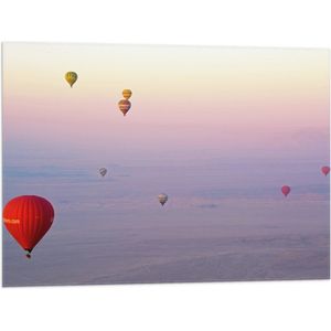 WallClassics - Vlag - Ballonvaarten in Verschillende Luchtballonnen - 80x60 cm Foto op Polyester Vlag