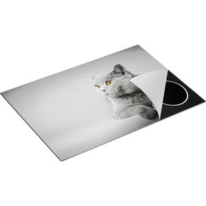 Chefcare Inductie Beschermer Grijze Kat met Oranje Ogen - 75x55 cm - Afdekplaat Inductie - Kookplaat Beschermer - Inductie Mat