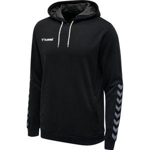 Hummel - hmlAUTHENTIC POLY - Hoodie - Polyester