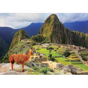 Legpuzzel - Educa - Machu Picchu 1000 stukjes