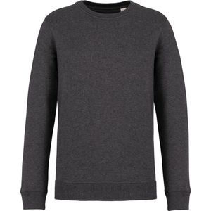 Biologische unisex sweater merk Native Spirit Volcano Grey Heather - 4XL