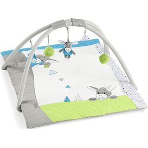 Babygym, Baby cadeau - jongen & meisje, Dierenvriendjes Speelmat, Interactief Speelgoed – Multikleuren