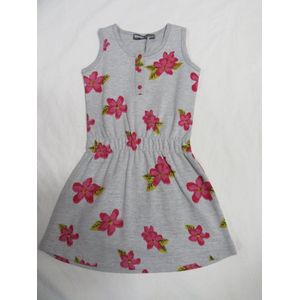 dirkje , jurk , grijst met bloem fuchia , sweat ,  6 jaar  116