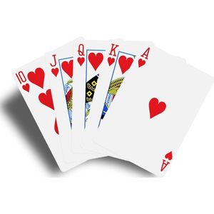 Speelkaarten 2 Decks / Stokken – Spelkaarten – Kaarten voor Klaverjassen, Toepen, Pokeren Black Jack en meer kaartspellen