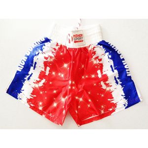 Nihon Kickboxing Shorts Dutch Stars (Maat: L)
