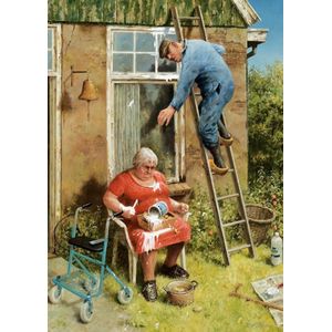 Doe-het-zelver - Marius van Dokkum (1000)