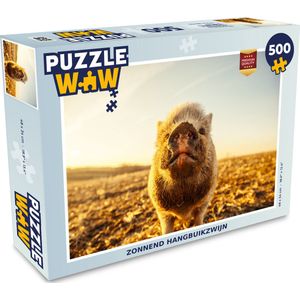 Puzzel Zon - Hangbuikzwijn - Varken - Legpuzzel - Puzzel 500 stukjes