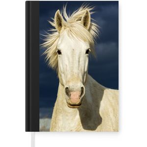 Notitieboek - Schrijfboek - Paard in Camargue - Notitieboekje klein - A5 formaat - Schrijfblok