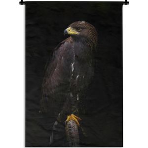 Wandkleed Roofdieren - Zwarte arend op een zwarte achtergrond Wandkleed katoen 60x90 cm - Wandtapijt met foto
