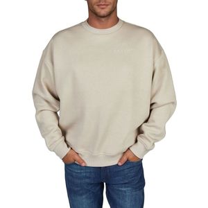 DENIMFY Heren trui DFKeno bequem Beige S Ronde Hals Volwassenen