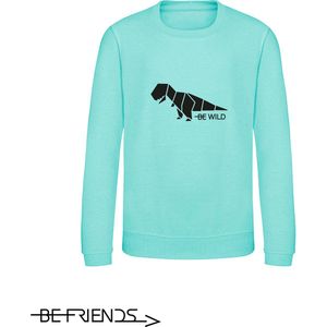 Be Friends Sweater - Be wild dino - Vrouwen - Mint groen - Maat M