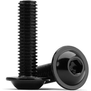 Allecto plus - Roestvrijstalen lenskopschroeven M6 x 12 mm (30 stuks) zwart oxide met flens - binnenzeskant - halfronde kop - volledige schroefdraad