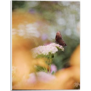 Forex - Bruine Vlinder op de Bloemen - 30x40cm Foto op Forex