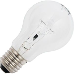 Schiefer - Ovenlamp - Helder - E27 - 40W - 360 Lumen - Peervormig