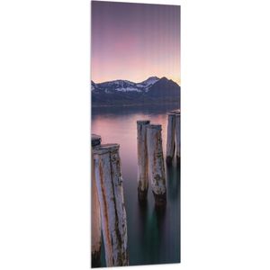 Vlag - Houten Palen in het Meer van Berggebied tijdens Zonsondergang met Paarse Gloed - 50x150 cm Foto op Polyester Vlag