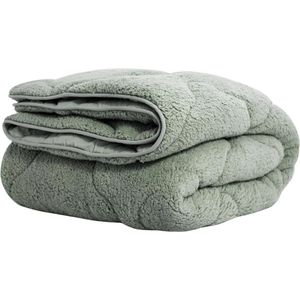 Droomtextiel - Lazy - Dekbed - 240 x 200 cm - Groen - 1 Teddy Dekbed zonder Overtrek