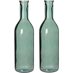2x Glazen fles / bloemenvaas grijs 50 x 15 cm - sierflessen - woondecoratie / woonaccessoires - 2 stuks
