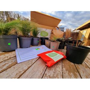 Borderbox Kruidentuin - 8 Vaste Planten - Compleet Borderpakket voor 1m² - Inclusief Planten, Potgrond, Bemesting en Beplantingsplan