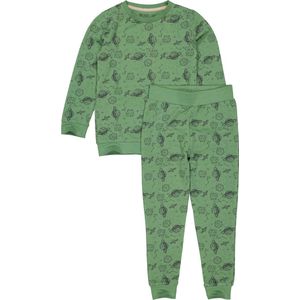Jongens pyjama - Puck - AOP Groen space