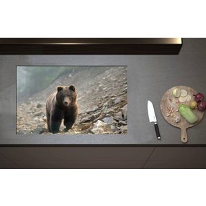 Inductieplaat Beschermer - Bruine Beer tussen de Stenen - 80x50 cm - 2 mm Dik - Inductie Beschermer - Bescherming Inductiekookplaat - Kookplaat Beschermer van Zwart Vinyl