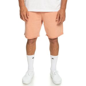 Quiksilver Trip Away Korte Sportbroek Beige L Man