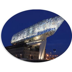 WallClassics - PVC Schuimplaat Ovaal - Havenhuis - Antwerpen - 28x21 cm Foto op Ovaal (Met Ophangsysteem)