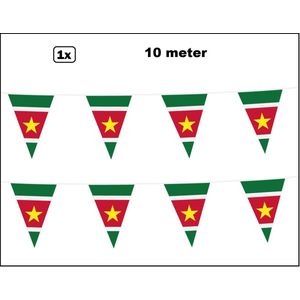 Vlaggenlijn Suriname 10 meter - Landen festival thema feest vlaglijn verjaardag fun party