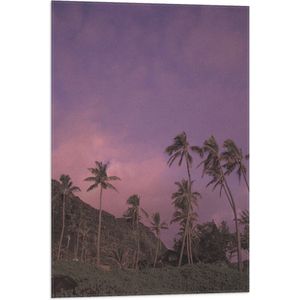 Vlag - Palmbomen onder de Paarse Lucht - 50x75 cm Foto op Polyester Vlag
