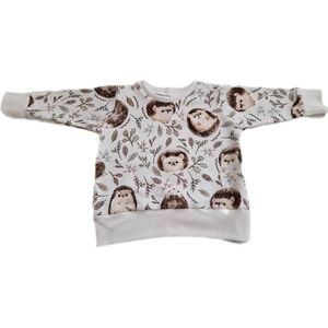 Egels sweatshirt met bladeren maat 98 cm