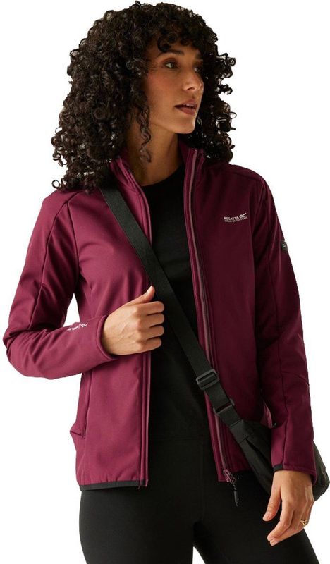 Regatta Moutdale Softshelljack