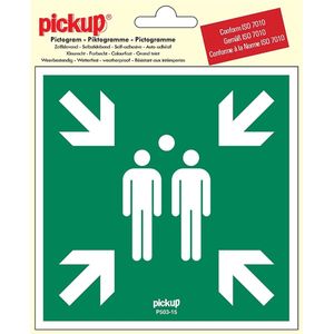 Pickup Pictogram 15x15 cm - Verzamelplaats bij calamiteit - conform ISO 7010