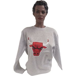 CHICAGO BULLS - CREWNECK- GREY- XXL