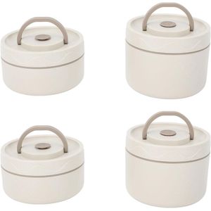 Geïsoleerde Lunchcontainer 304 Roestvrijstalen Bentobox met Thermische Zak - Vacuüm Geïsoleerd, Lichtgewicht en Multifunctioneel