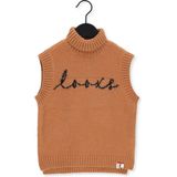 Looxs Revolution 2231-5025 Truien & Vesten Meisjes - Sweater - Hoodie - Vest- Cognac - Maat 164