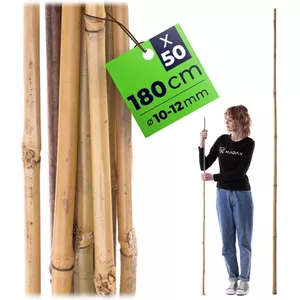 Buiten planten op stok kopen? | Korting tot 37