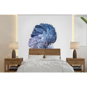 Kaketoe - Blauw - Dieren - Natuur - Behangpapier