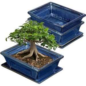 Bonsai keramische potten - Set van 2 met onderzetters en drainagegaten - Japanse bonsai kamerplanten - Retro decoratie voor tuincontainers - Buitensets - Diameter opening 19 cm