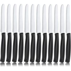 Set van 12 roestvrijstalen tafelmessen - Ergonomisch en vaatwasmachinebestendig