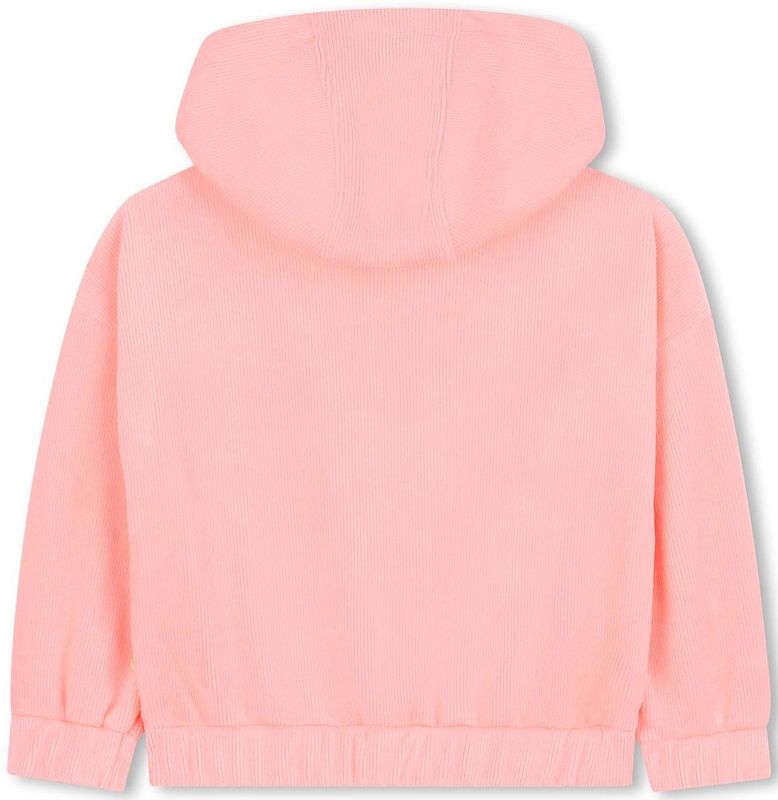 Billieblush Sweatshirt  grijs / zalm roze / donkerroze / zilver