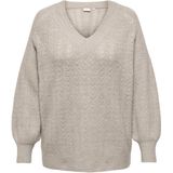 ONLY CARMAKOMA - CARLUCILLA - Gebreide Pullover - Glitter - Dames