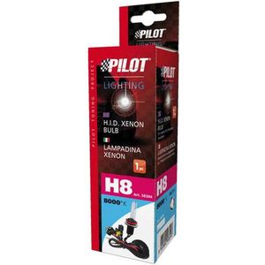Xenon lamp - H8 - 12/ 24 Volt - E13 keurmerk