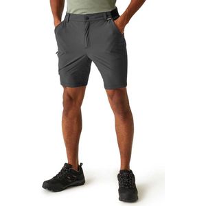 Regatta Travel Light Korte Broek Grijs 30 Man