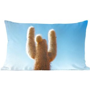 Sierkussen Cactus voor binnen - Cactus met blauwe hemel - 50x30 cm - rechthoekig binnenkussen van katoen