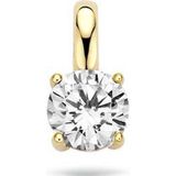 Blush - 14 Karaat Hanger - Goud - Goud