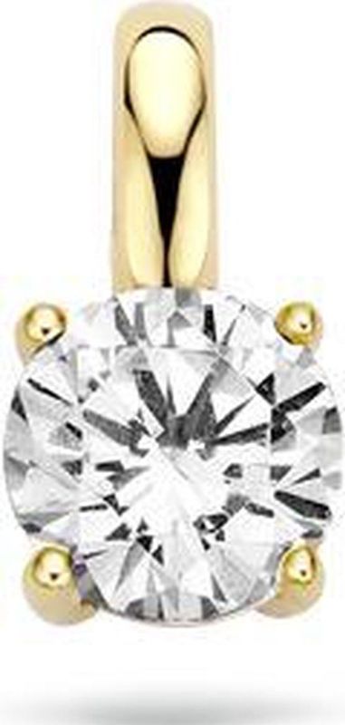 Blush - 14 Karaat Hanger - Goud - Goud